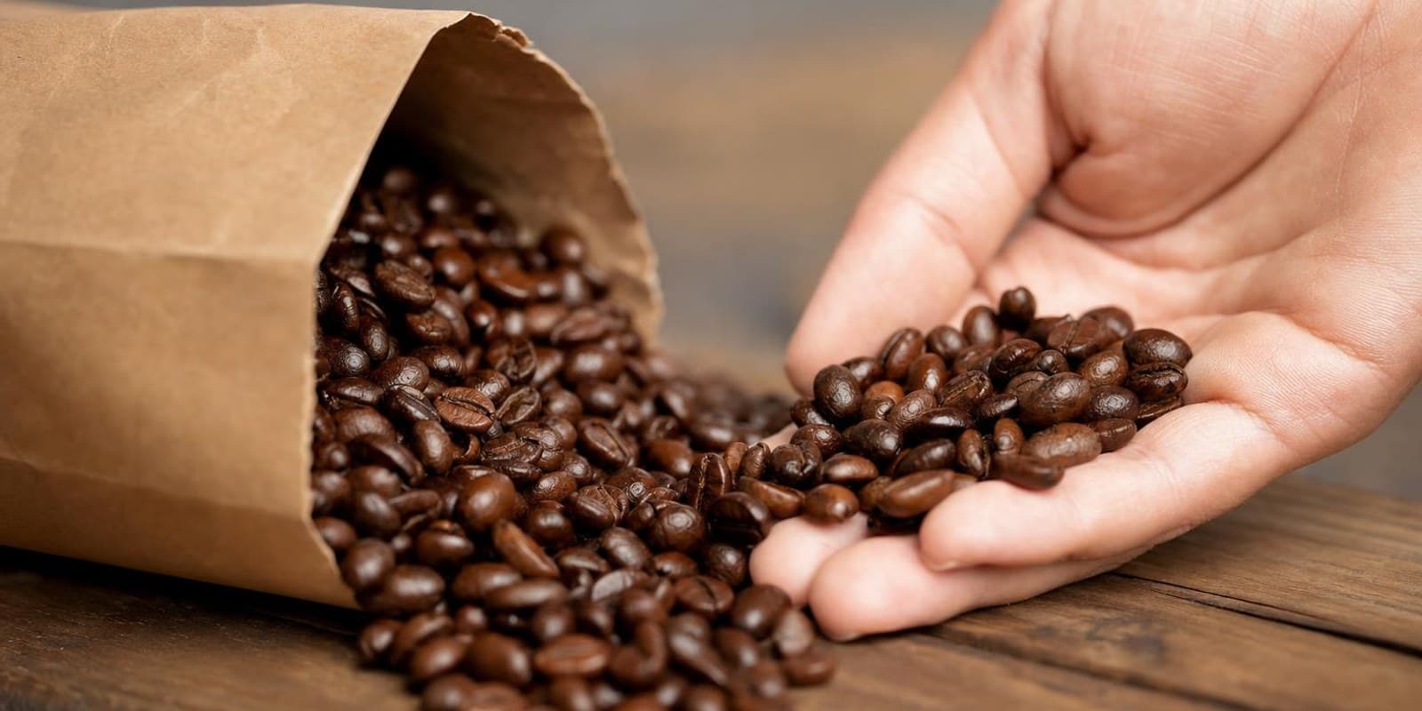 Frisch geroestete Kaffeebohnen fallen aus einer geoeffneten Papiertuete auf einen Holztisch.