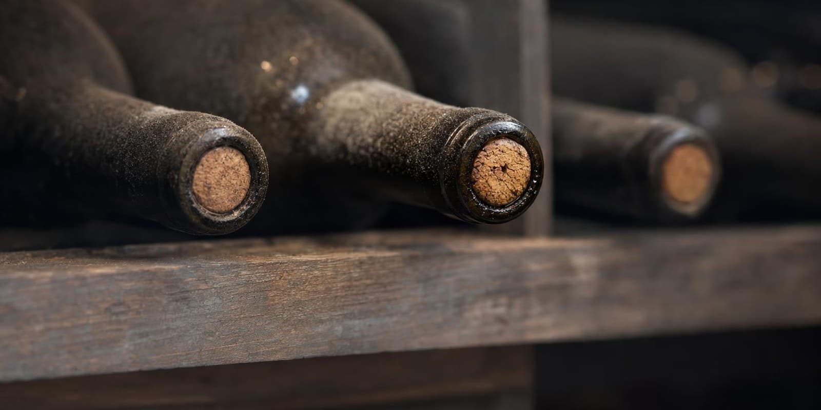 Liegende Weinflaschen mit leicht staubigem Glas lagern in einem Holzregal in kuehlem Daemmerlicht.