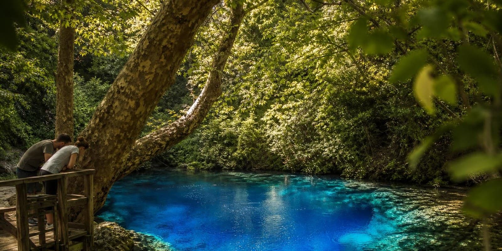 Tiefblaue Karstquelle Blue Eye leuchtet zwischen gruenen Baeumen in Suedalbanien.