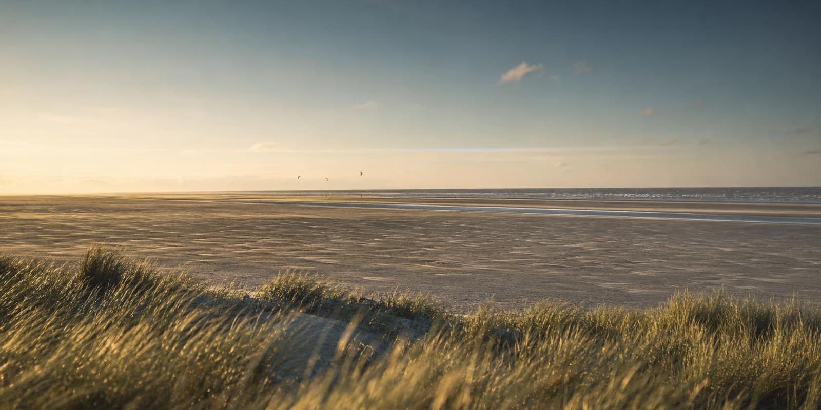 Endlos flacher Sandstrand der Velika Plaza, ganz hinten stehen kleine Kites im Nachmittagswind.