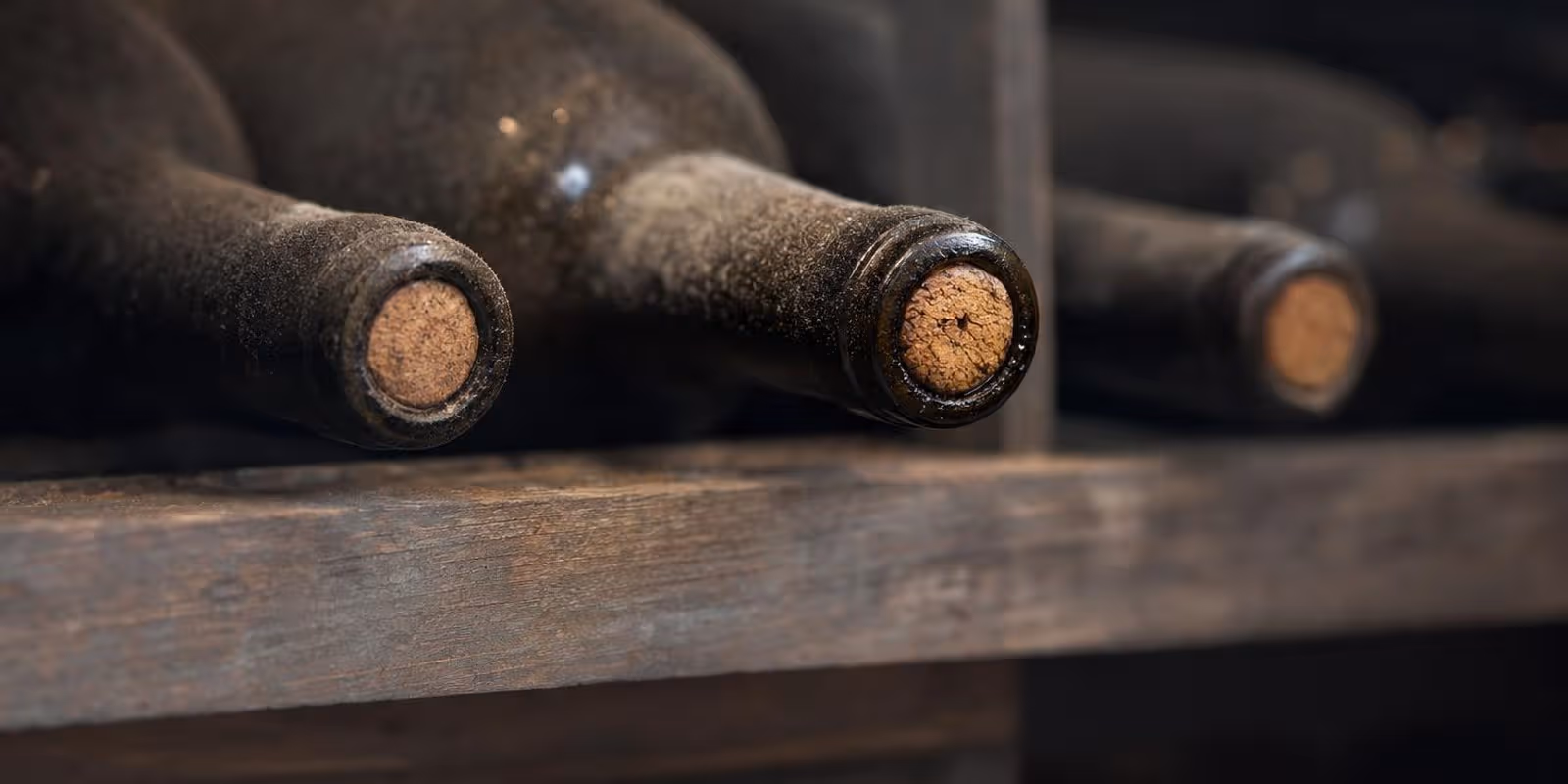 Liegende Weinflaschen mit leicht staubigem Glas lagern in einem Holzregal in kuehlem Daemmerlicht.